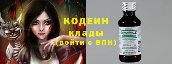 кокс Алексин