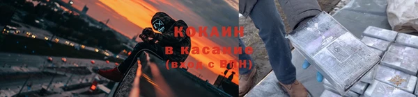 кокс Алексин