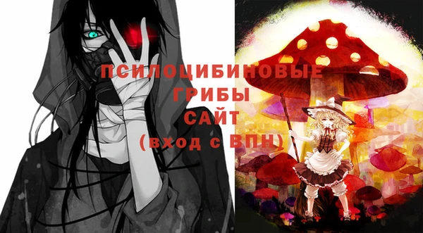 кокс Алексин