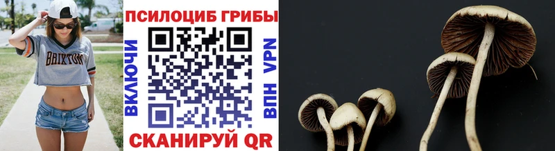 Галлюциногенные грибы GOLDEN TEACHER  где найти   Находка 